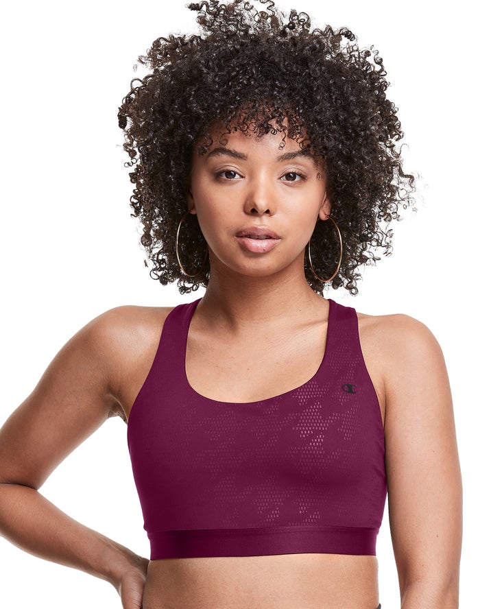 Champion Womens Sports Bra NZ - The Absolute Print Dark Purple ( 1973-OERJY )